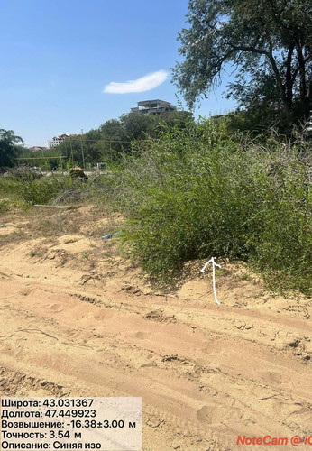 photo 7 2025 08 14 21 43 58.jpg