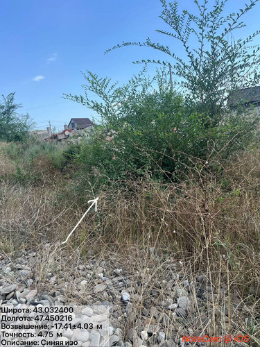 photo 10 2025 08 14 21 43 58.jpg