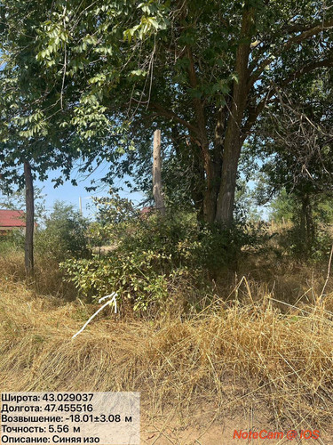 photo 1 2025 08 14 21 43 58.jpg