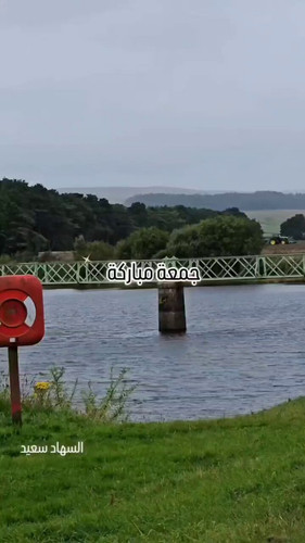 qg4fTqPU1JJSfSTT.jpg