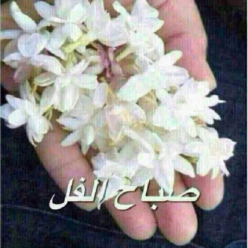 GyWgOnFX0AIW vZ.jpg