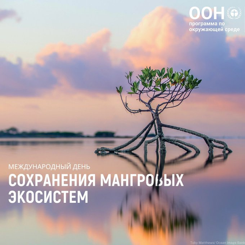 GwyQAYnXYAAfFqm.png