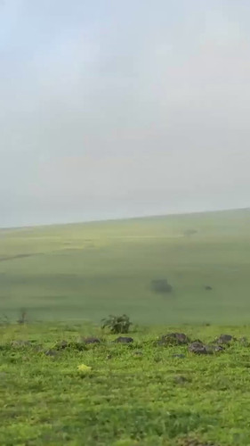 7hkKD1P7lTKMNQ32.jpg