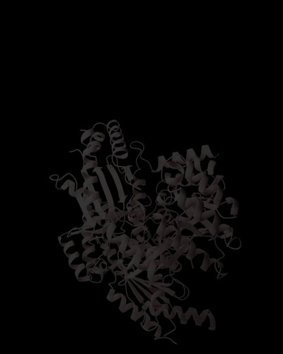 ypTybqGkQICd1uF8.jpg