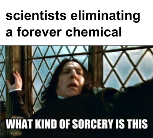GyVqTDpa4AQQvlP.jpg