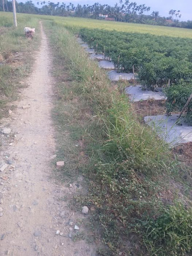 530969784 122168456180465525 8943391080948407383 n.jpg