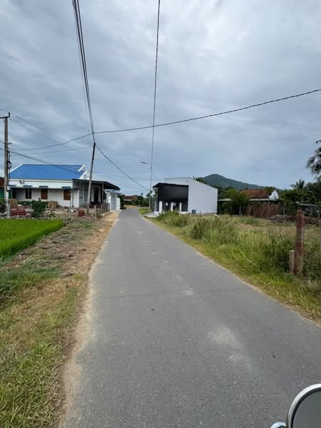 530493725 4404066829876538 8473242208908599435 n.jpg