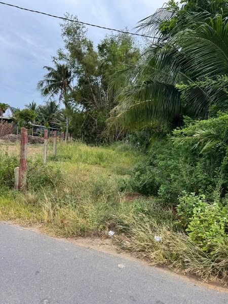 530658114 4404066839876537 4938904939687036979 n.jpg