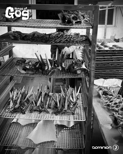 House of Gog x Brent Ashe CEREMONY Prototypes 1080 x 1350 003.jpg