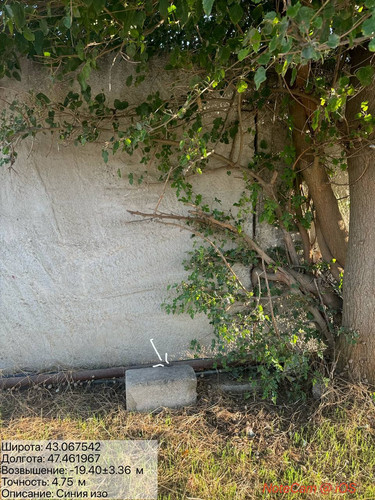 photo 6 2025 08 15 20 06 29.jpg