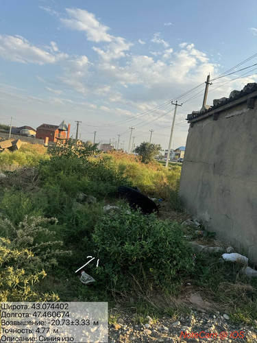 photo 4 2025 08 15 20 06 29.jpg