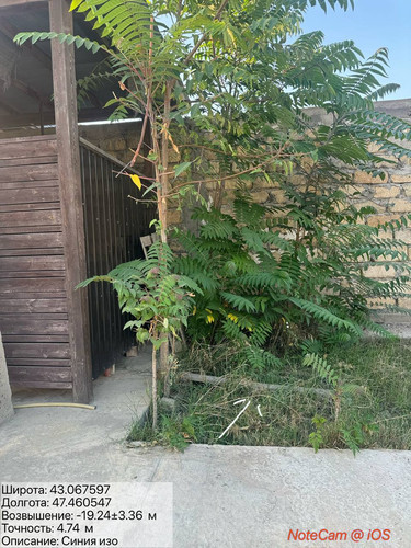 photo 8 2025 08 15 20 06 29.jpg