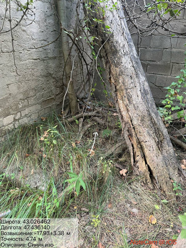 photo 15 2025 08 15 20 06 29.jpg