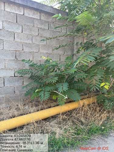 photo 11 2025 08 15 20 06 29.jpg