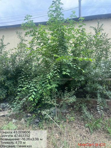 photo 19 2025 08 15 20 06 29.jpg