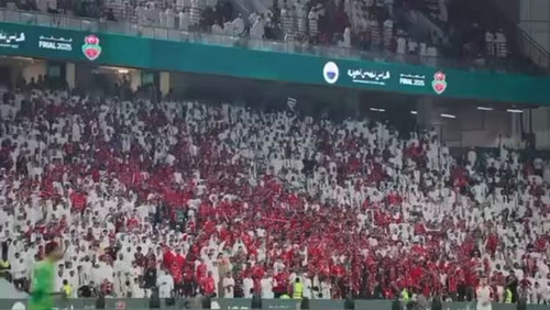 6Qznjq7EyhSSuEL .jpg