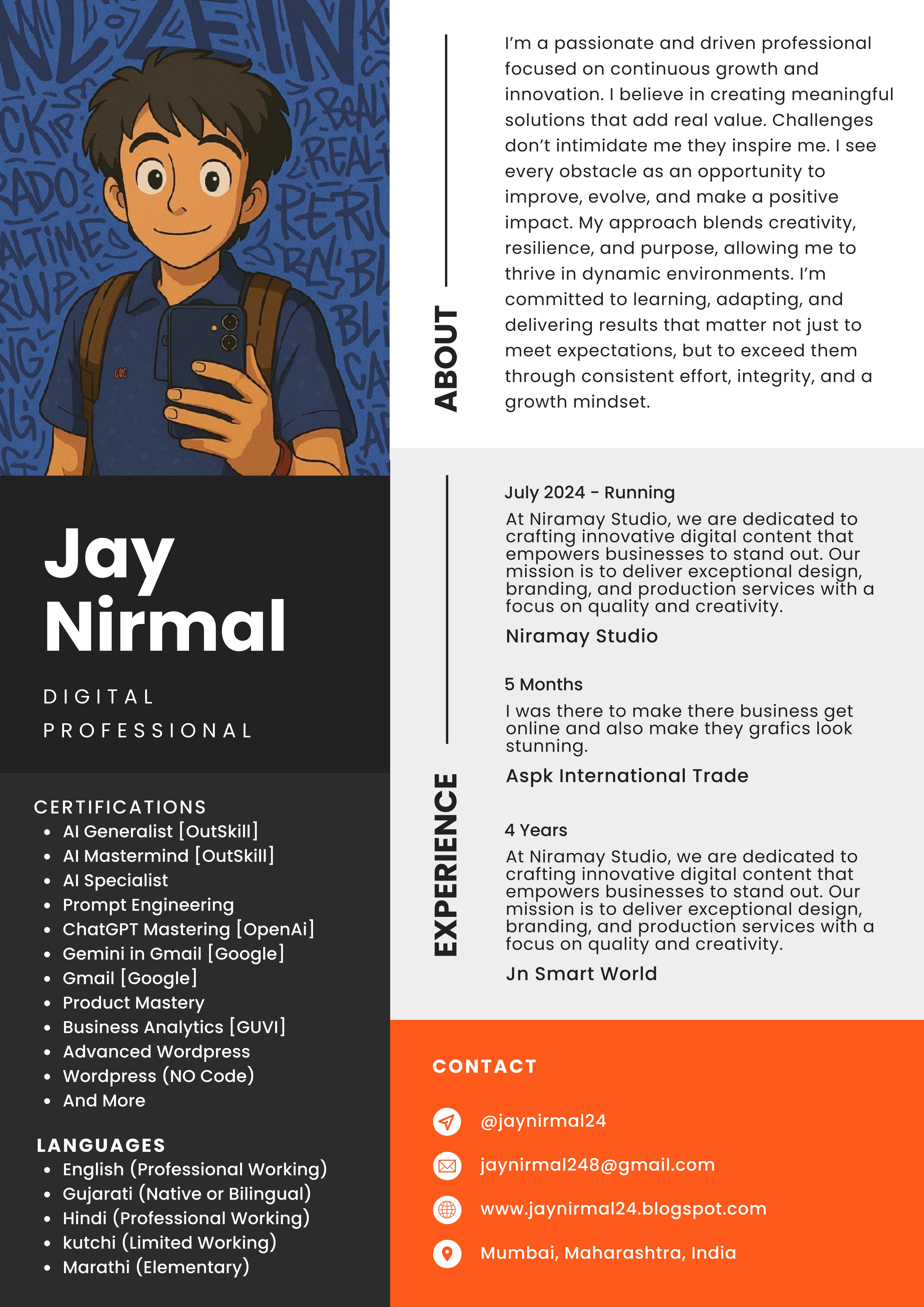 Executive Resume Preview