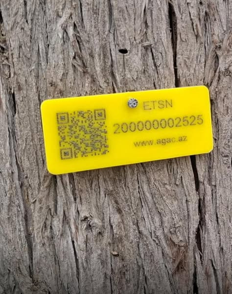 534916515 1090555923180543 8556748738379582049 n.jpg?stp=dst jpg s600x600 tt6& nc cat=107&ccb=1 7& n.jpg