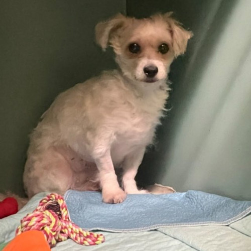 GyGb mQaEAI EOu?format=jpg.jpg