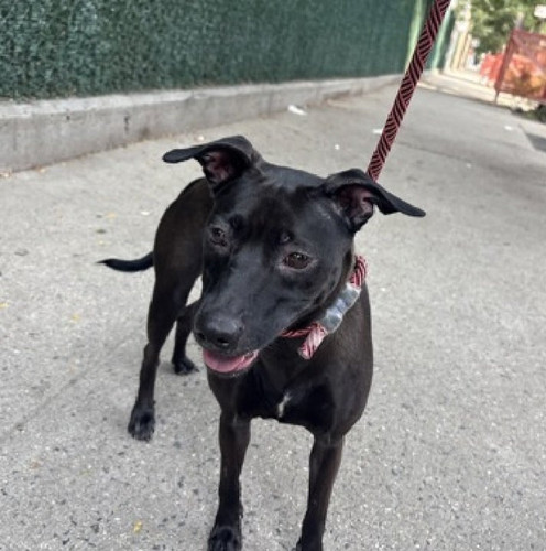 GxxxQ vXMAAzFW9?format=jpg.jpg