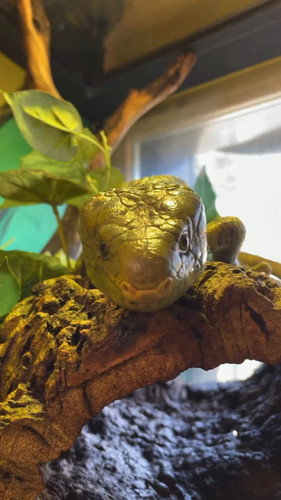 b8PUi9Y uVlkTme4.jpg