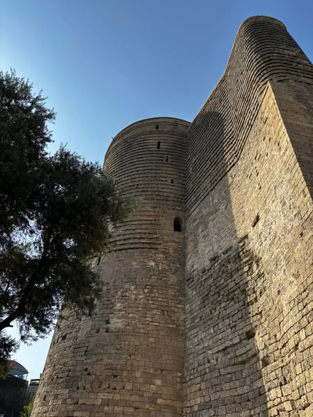 533405346 2562008017486016 8107589573667182021 n.jpg?stp=dst jpg s600x600 tt6& nc cat=106&ccb=1 7& n.jpg