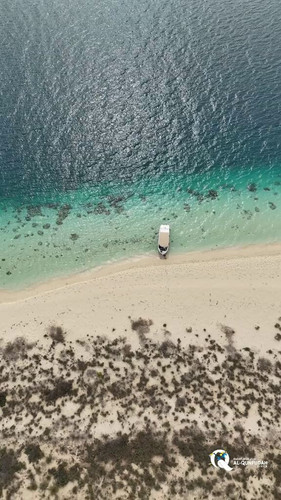 YgXpR cYzOGpSl8A.jpg