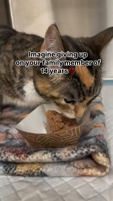 z0chlgrK3o8gvN M.jpg