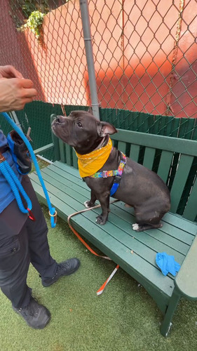 RDOjs Y9Nx4dVeEr.jpg