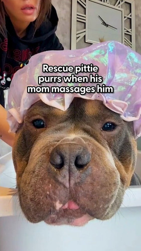 YT8Lki S6opfkeO4.jpg