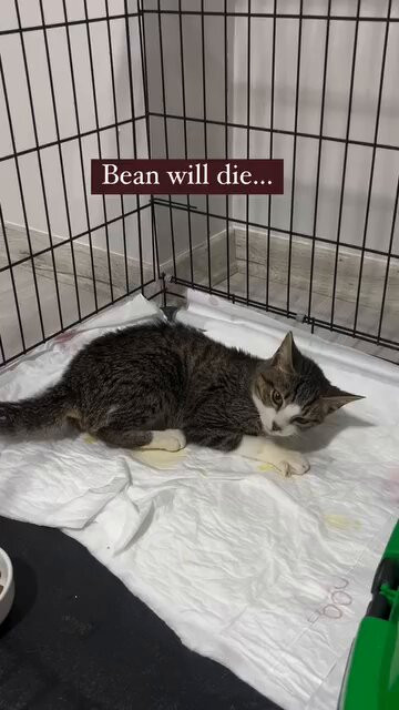 Z cKgV2 F2OB1g5S.jpg