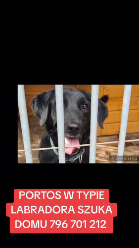 EzUHX9V624 CJVQL.jpg