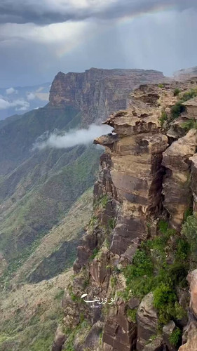 ZkqWVOWMco183 Dt.jpg