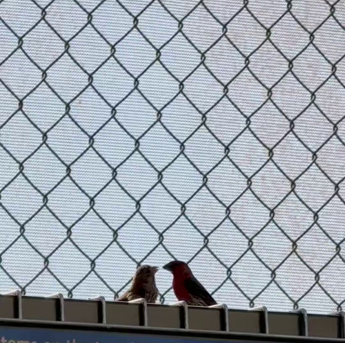 l2zqrVAe7ABu xEq.jpg