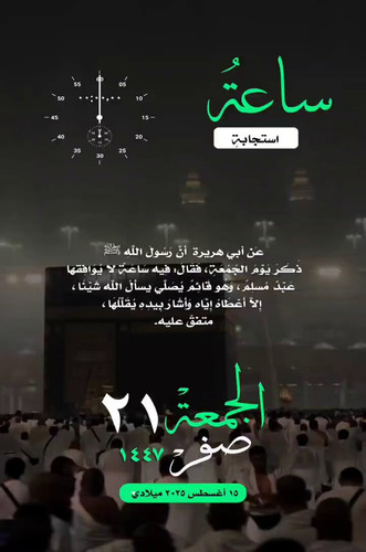 ow0UYPBus V2Iav9.jpg