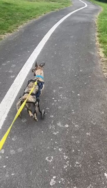 ZgZtDou 1dtZCYEm.jpg