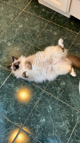 k7Z7gICEBca 4rq9.jpg