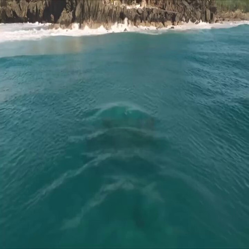 cPKwHR VwUHqkJpy.jpg