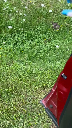 Ao7W gBYWePqCqp9.jpg