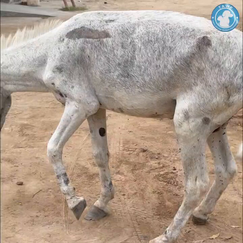 eDprym6kstY 4uuF.jpg