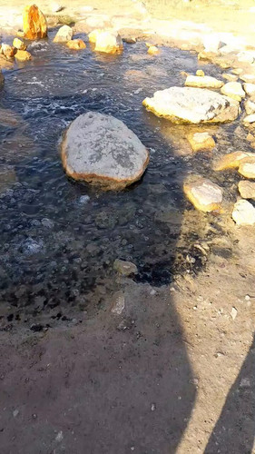 ogBisEn WG8JQgCs.jpg