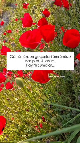 X6SEY2o 8TYo2nt5.jpg