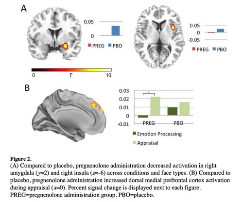 GeojVWjXQAIYSU ?format=jpg.jpg