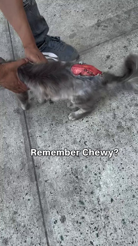 IBLELYMEOuqzv pm.jpg