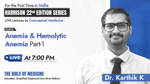 WhatsApp Image 2025 08 14 at 5.27.44 PM (1).jpg