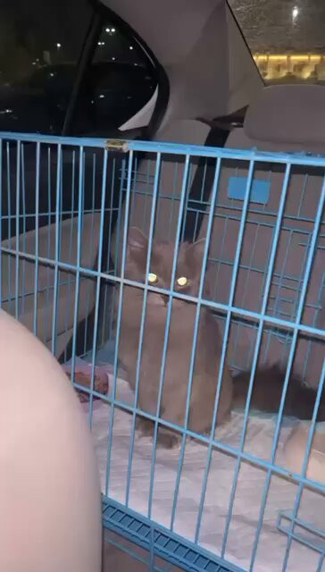 VSmJUa10EG8rS OQ.jpg