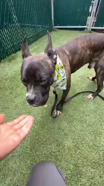 VHdbKhsXgurm2mV .jpg