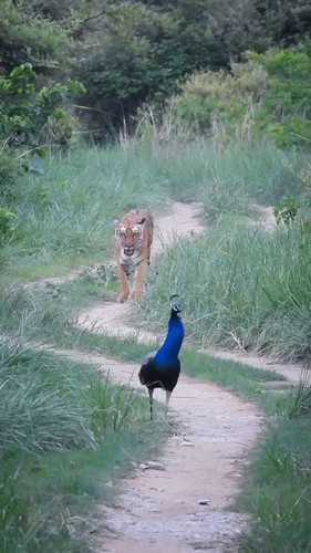 AR hAVg7O2rTur1T.jpg