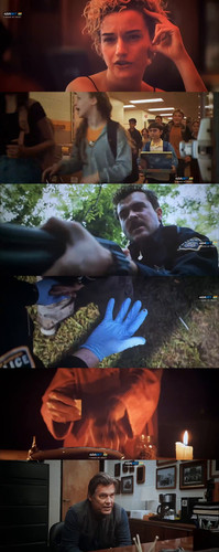 InCollage 20250815 145125374.jpg