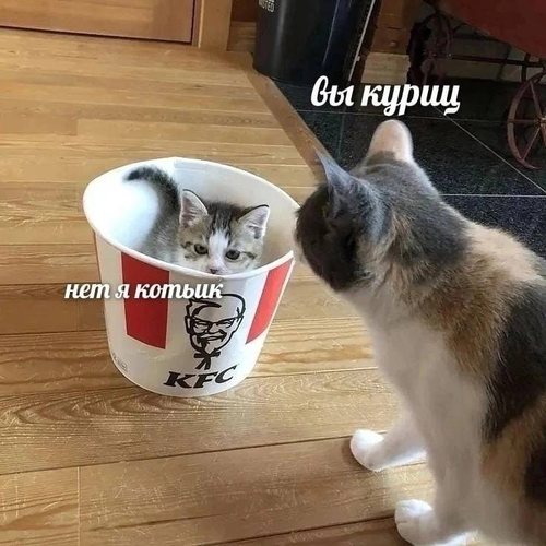 1BPC44JNHUNFTrf6jDE ke0ZL 5uKqL70A9LwAKjaflhOfZ5f0lCptGSbgOuHn96zZEj9c5sALbqAplopd1XJOqf.png